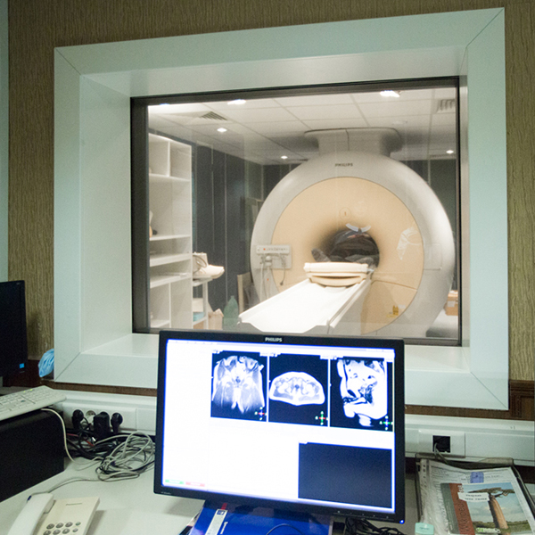 МРТ, цены от 3385 руб. в Москве в Evolutis Clinic